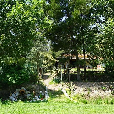 Quinta Do Vale Grande Villa Albergaria-a-Velha Luaran gambar