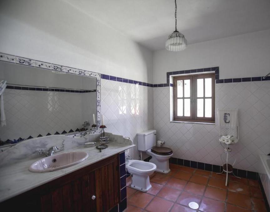 Quinta Do Vale Grande Villa Albergaria-a-Velha Luaran gambar
