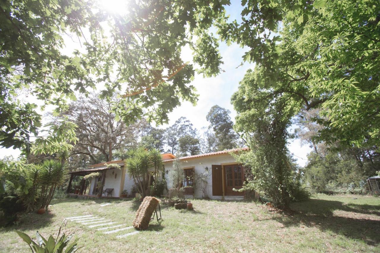 Quinta Do Vale Grande Villa Albergaria-a-Velha Luaran gambar