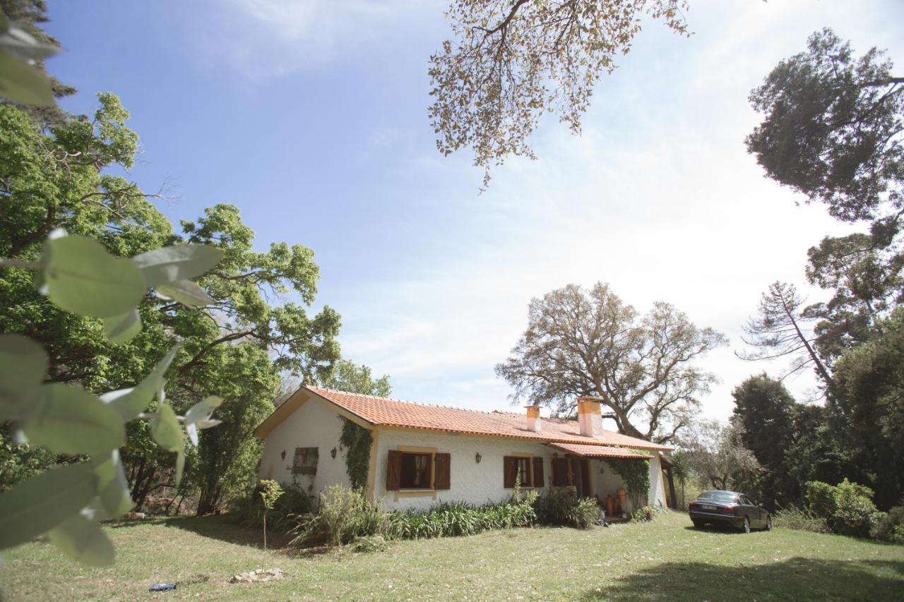 Quinta Do Vale Grande Villa Albergaria-a-Velha Luaran gambar