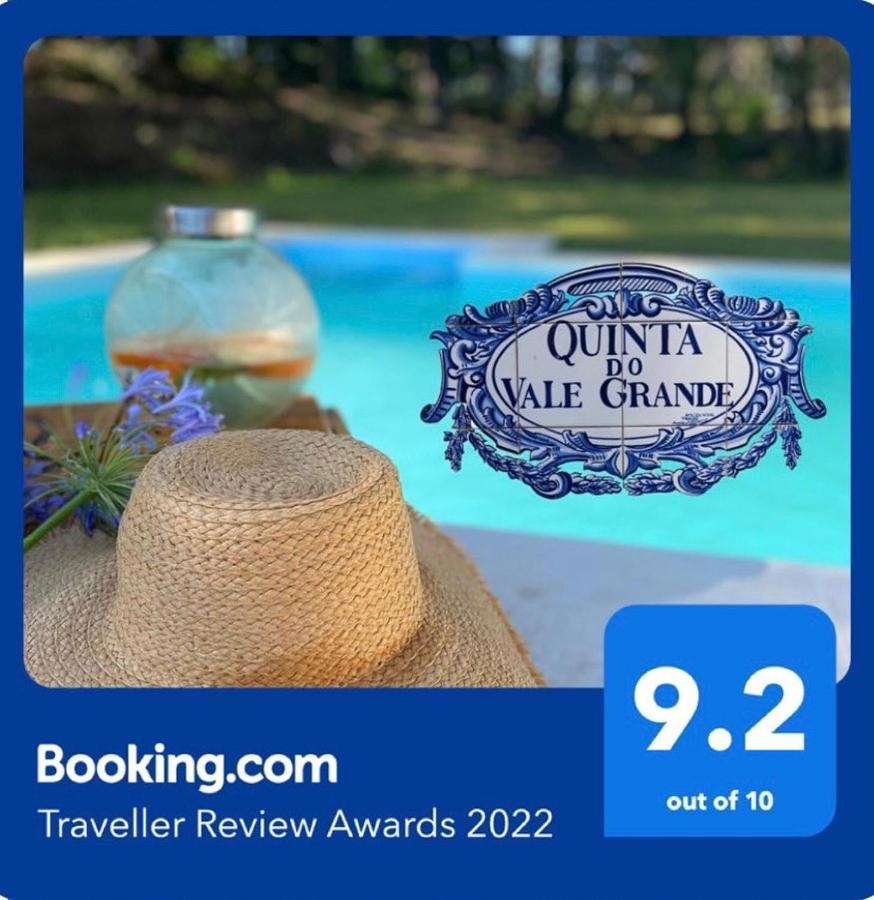 Quinta Do Vale Grande Villa Albergaria-a-Velha Luaran gambar