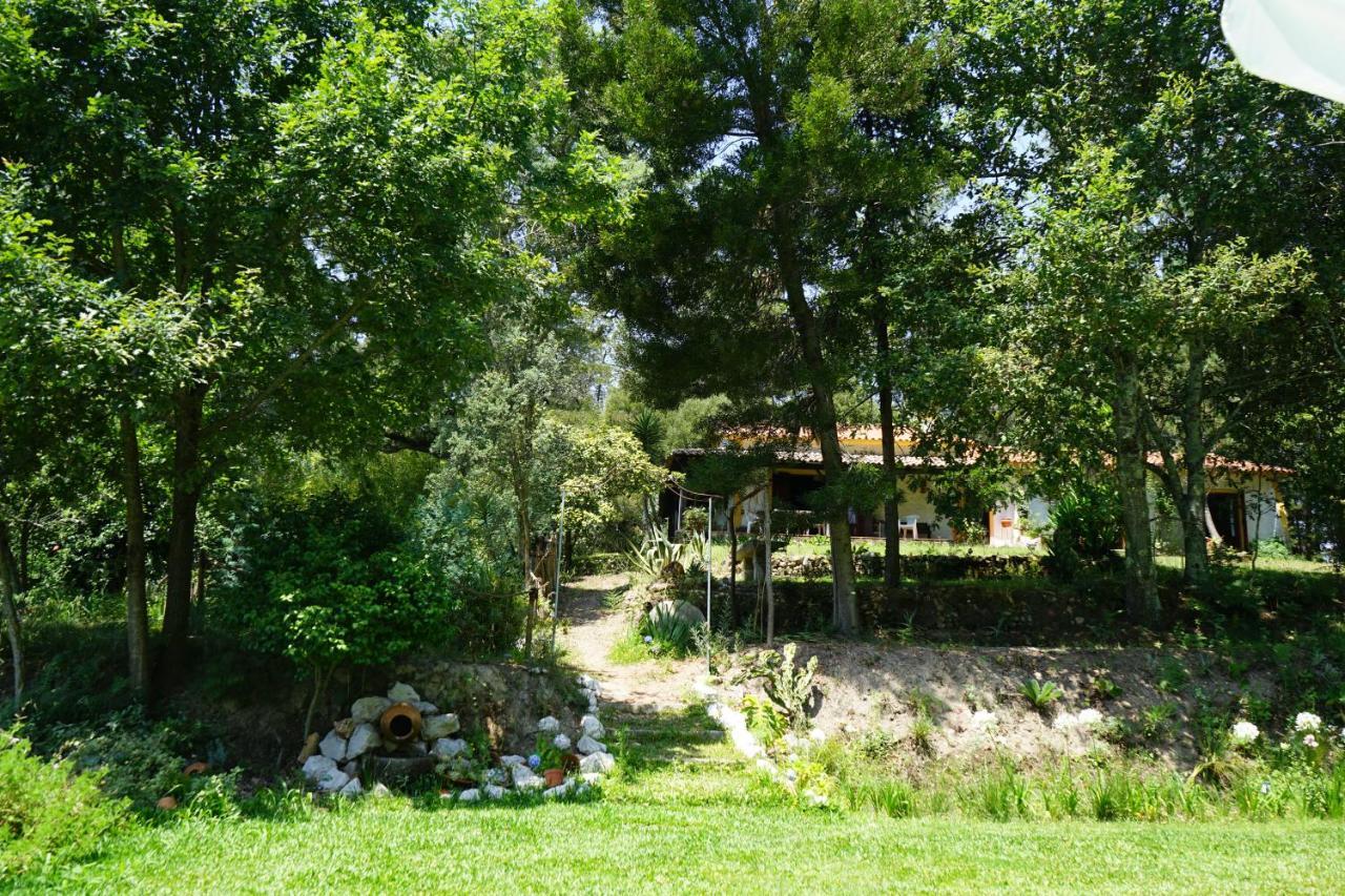 Quinta Do Vale Grande Villa Albergaria-a-Velha Luaran gambar