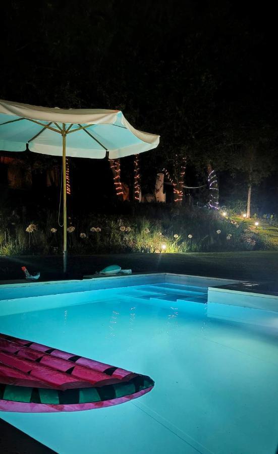Quinta Do Vale Grande Villa Albergaria-a-Velha Luaran gambar