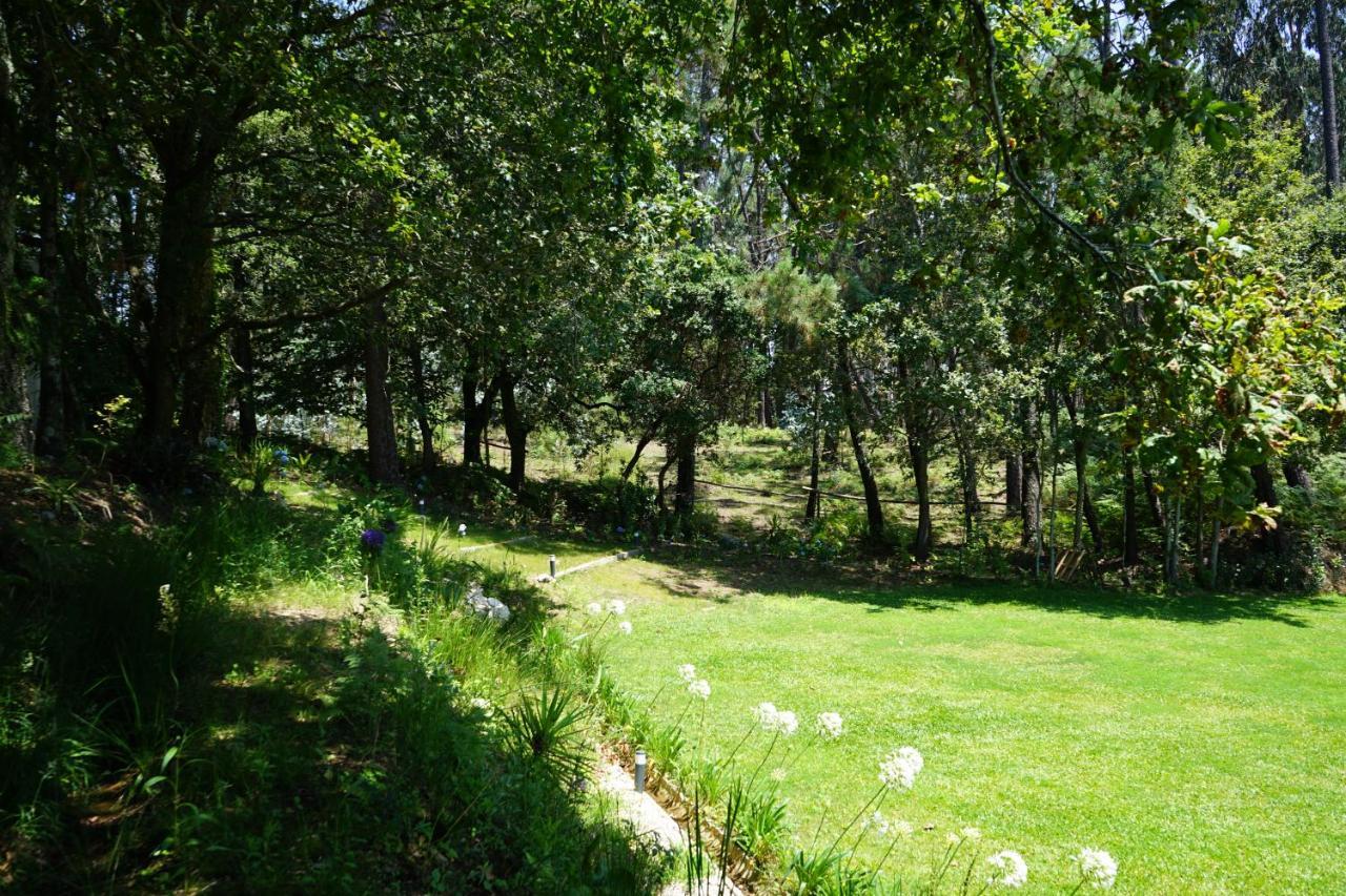Quinta Do Vale Grande Villa Albergaria-a-Velha Luaran gambar