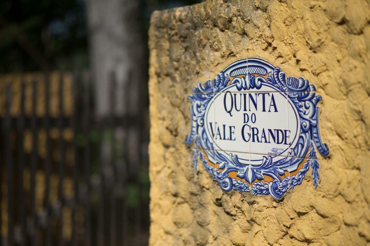 Quinta Do Vale Grande Villa Albergaria-a-Velha Luaran gambar
