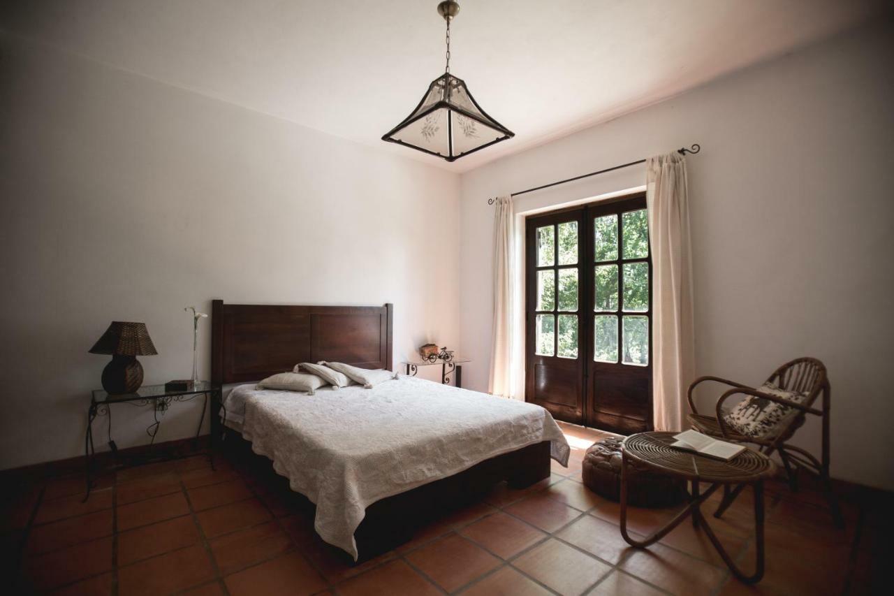 Quinta Do Vale Grande Villa Albergaria-a-Velha Luaran gambar